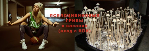 прущие грибы Алексеевка