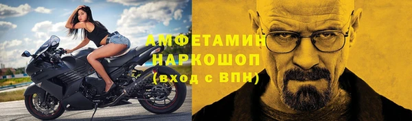 гидра Надым