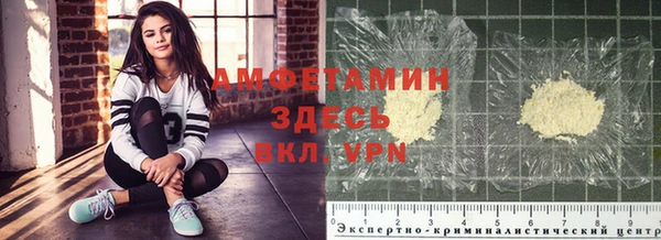 прущие грибы Алексеевка
