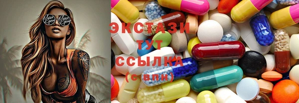гидра Надым