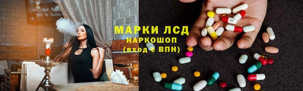 прущие грибы Алексеевка