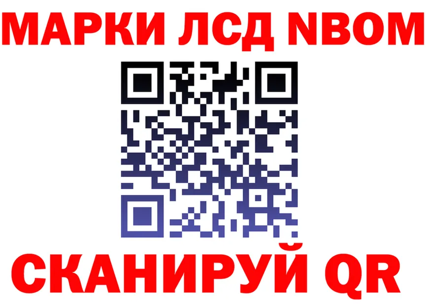 A-PVP СК маркетплейс площадка hydra Петрозаводск