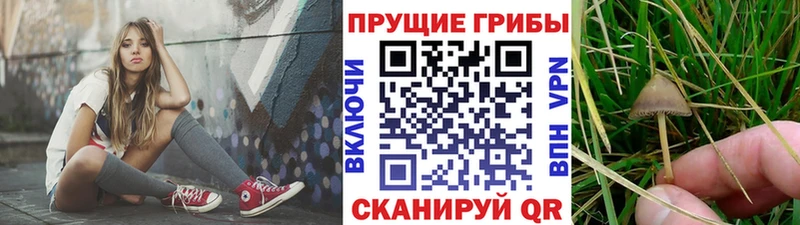 Галлюциногенные грибы MAGIC MUSHROOMS Петрозаводск