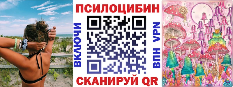 Псилоцибиновые грибы MAGIC MUSHROOMS  где найти   Петрозаводск 